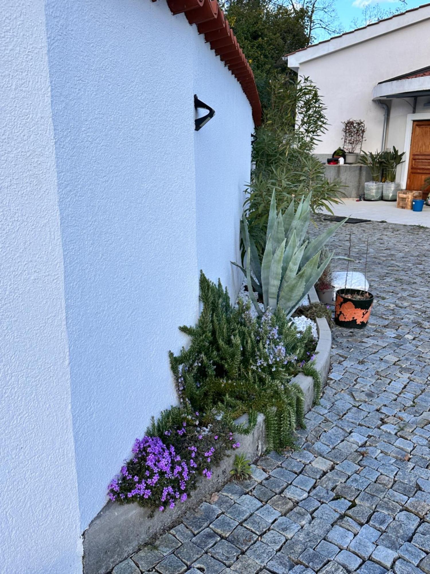 Dreamtime Apartment Veprinac Exterior foto